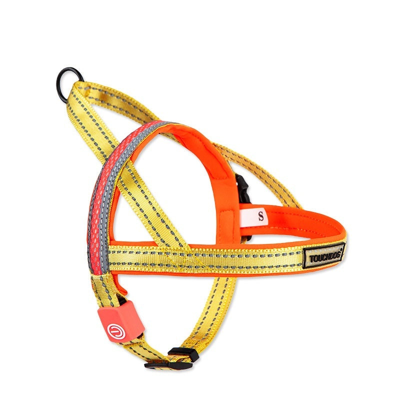 Illuminate Your Walks with Our LED Dog Leash